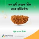 একমুখী রুদ্রাক্ষ One Faced Rudraksha Trilochana