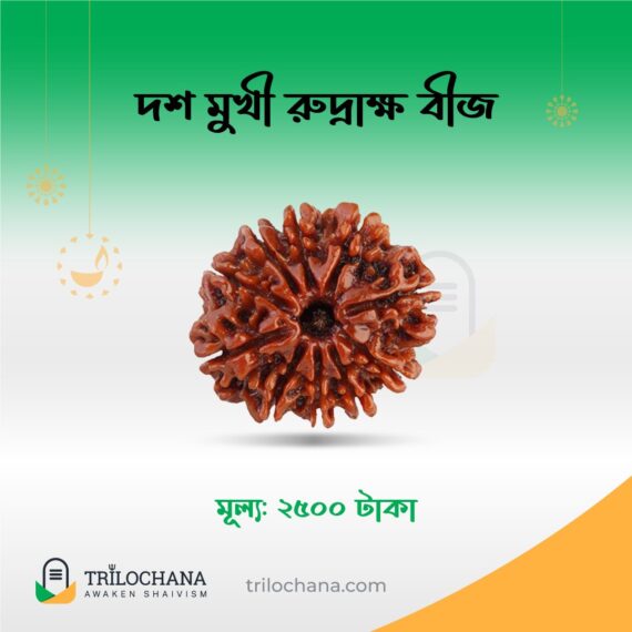 দশমুখী রুদ্রাক্ষ 10 Faced Rudraksha Trilochana