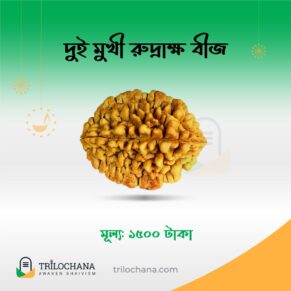 দুইমুখী রুদ্রাক্ষ Two Faced Rudraksha Trilochana