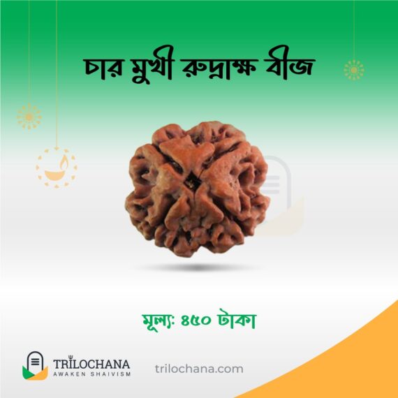 চারমুখী রুদ্রাক্ষ 4 Faced Rudraksha Trilochana