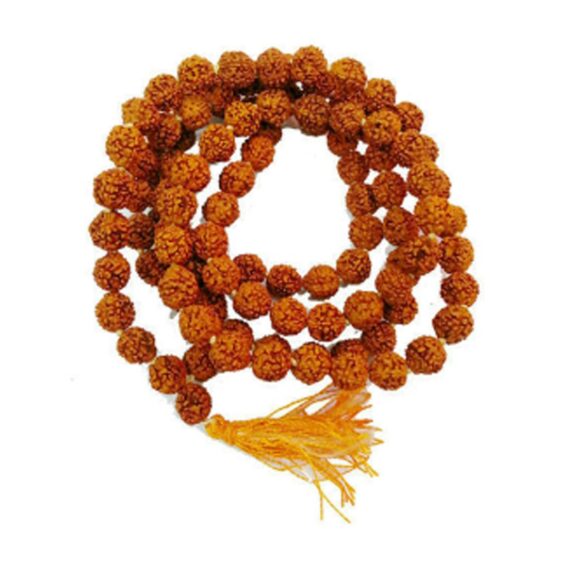 পাঁচমুখী রুদ্রাক্ষ মালা 5 Faces Rudraksha Mala By Trilochana