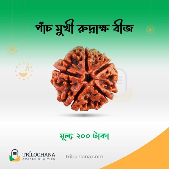 পাঁচমুখী রুদ্রাক্ষ Five Faces Rudraksha Trilochana