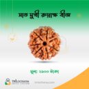 সাতমুখী রুদ্রাক্ষ Seven Faces Rudraksha Trilochana