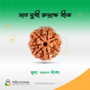 সাতমুখী রুদ্রাক্ষ Seven Faces Rudraksha Trilochana