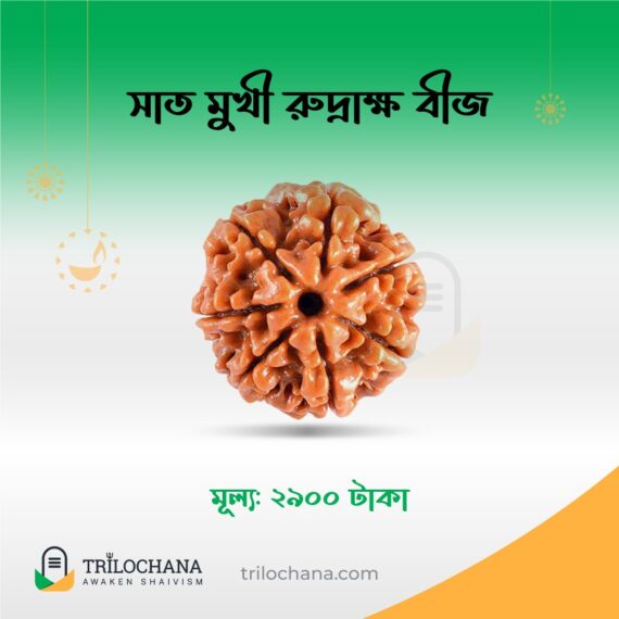 সাতমুখী রুদ্রাক্ষ Seven Faces Rudraksha Trilochana