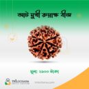 আটমুখী রুদ্রাক্ষ Eight Faces Rudraksha Trilochana