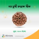 নয়মুখী রুদ্রাক্ষ Nine Faced Rudraksha Trilochana