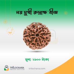 নয়মুখী রুদ্রাক্ষ Nine Faced Rudraksha Trilochana