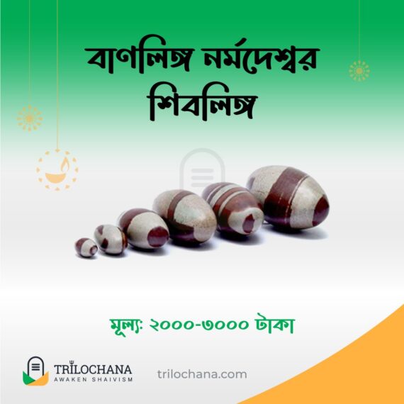 বাণলিঙ্গ নর্মদেশ্বর শিবলিঙ্গ Banlinga Narmadeshwar Trilochana