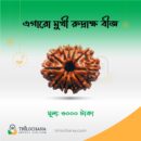 এগারোমুখী রুদ্রাক্ষ 11 Faced Rudraksha Trilochana