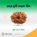 তেরোমুখী রুদ্রাক্ষ 13 Faced Rudraksha Trilochana