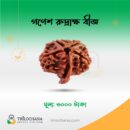 গণেশ রুদ্রাক্ষ Ganesh Rudraksha Trilochana