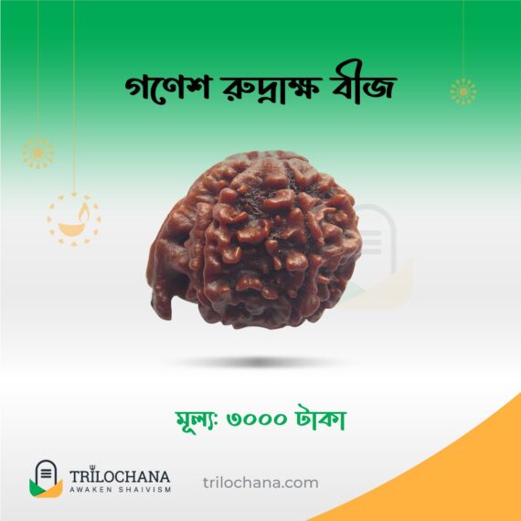 গণেশ রুদ্রাক্ষ Ganesh Rudraksha Trilochana