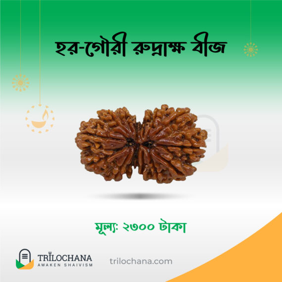 হর গৌরী রুদ্রাক্ষ Har Gauri Rudraksha Trilochana