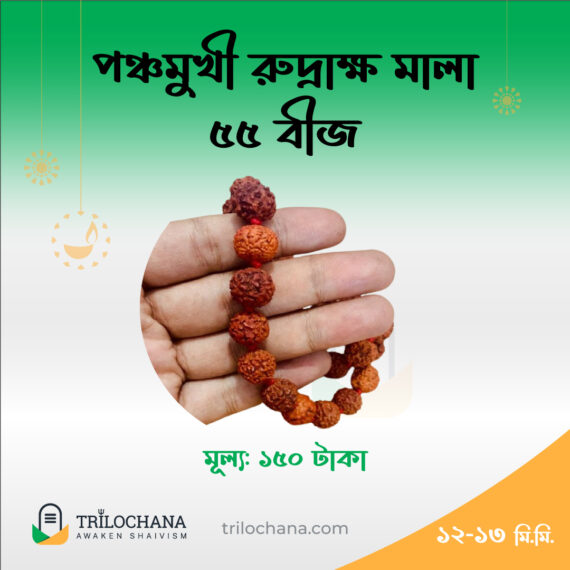 রুদ্রাক্ষ মালা 5 Faced Rudraksha Mala 55 Beads Trilochana