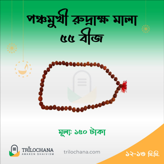 রুদ্রাক্ষ মালা 5 Faced Rudraksha Mala 55 Beads Trilochana