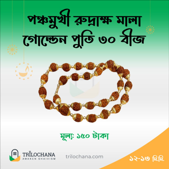 পাঁচমুখী রুদ্রাক্ষ মালা 5 Faced Rudraksha Mala Golden 30 Beads Trilochana