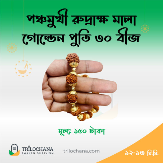 পাঁচমুখী রুদ্রাক্ষ মালা 5 Faced Rudraksha Mala Golden 30 Beads Trilochana