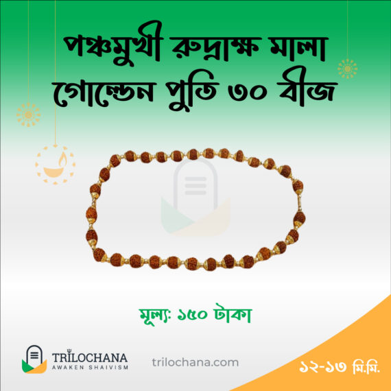 পাঁচমুখী রুদ্রাক্ষ মালা 5 Faced Rudraksha Mala Golden 30 Beads Trilochana