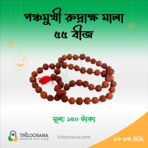পাঁচমুখী রুদ্রাক্ষ মালা 5 Faced Rudraksha Mala 55 Beads Trilochana