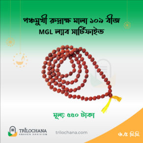 পাঁচ মুখী রুদ্রাক্ষ মালা 5 Faced Rudraksha Mala 109 Beads 6.5mm MGL Lab Certified Trilochana