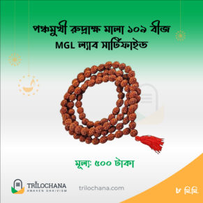 পাঁচ মুখী রুদ্রাক্ষ মালা 5 Faced Rudraksha Mala 109 Beads 8mm MGL Lab Certified Trilochana